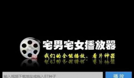 宅男宅女视频,揭秘现代网络生活新趋势