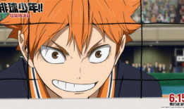 排球少年动漫,梦想与激情的青春交响曲